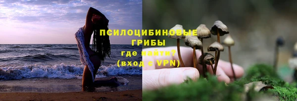 тгк Краснотурьинск