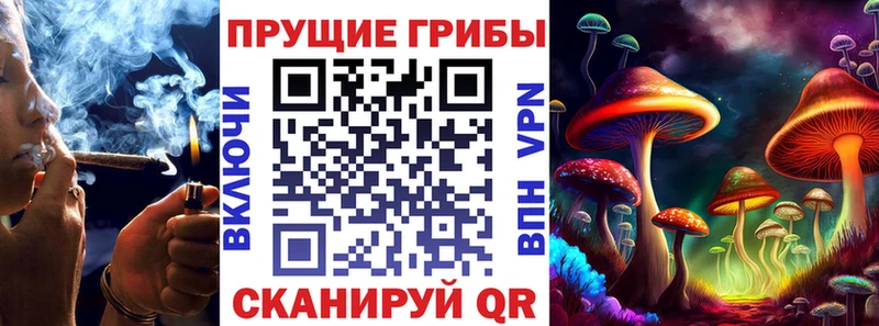 Псилоцибиновые грибы ЛСД  Купить закладки  Карачев 